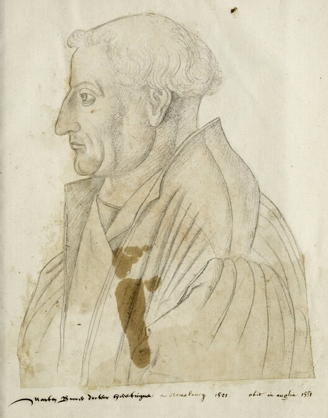 Martin Bucer