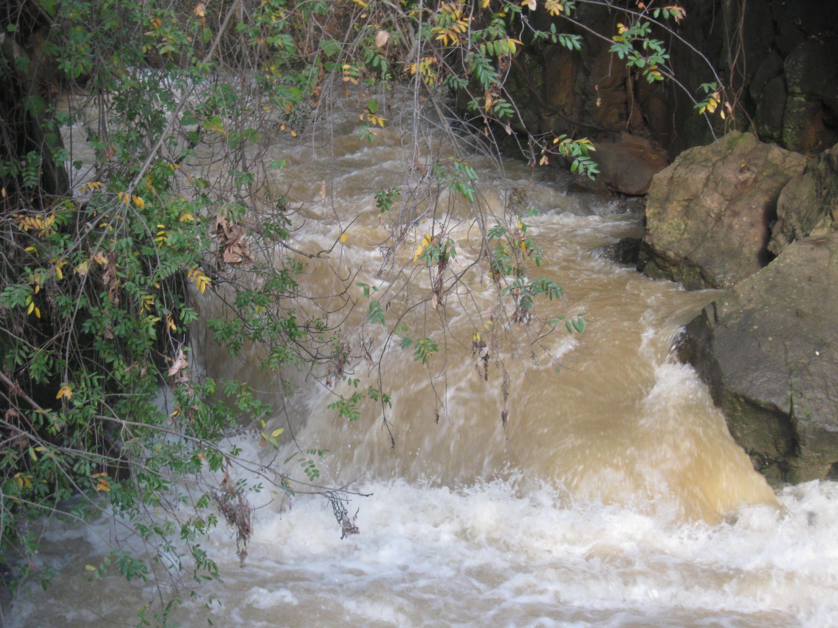 The Banias spring and nature reserve at ancient Caesarea Philippi, source of the Jordan.