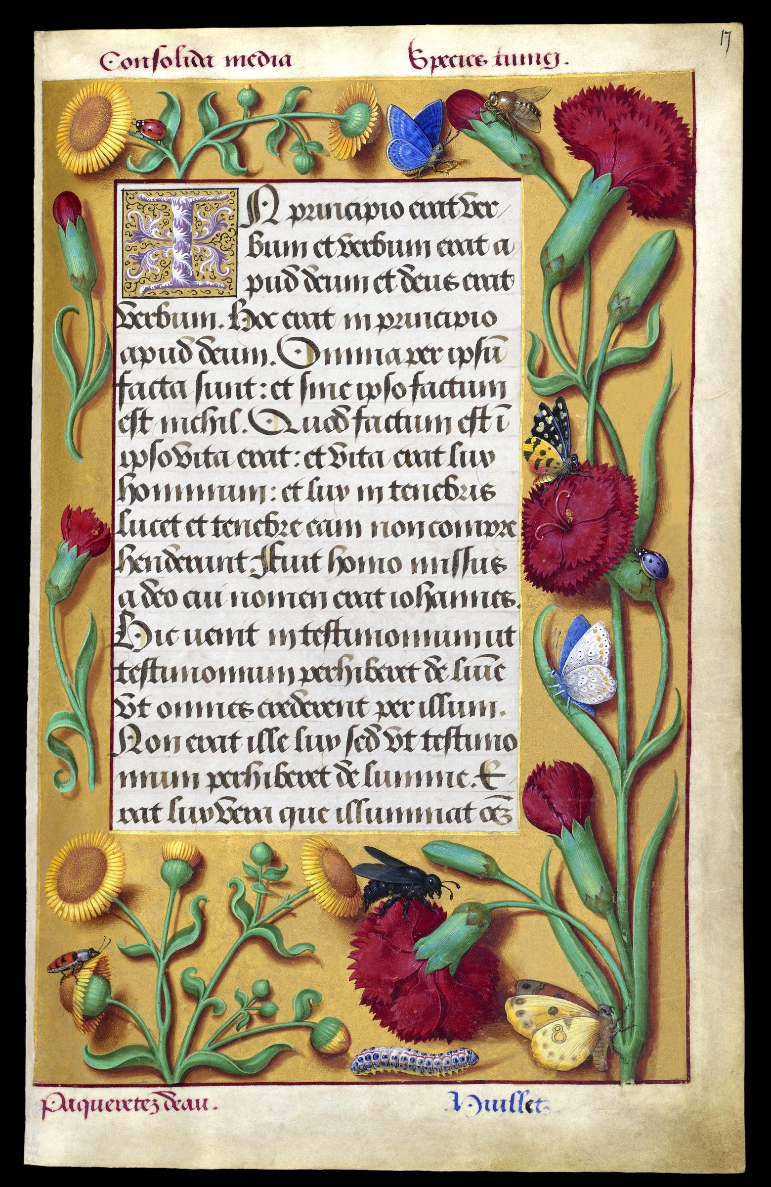 Illuminated manuscript page of the Gospel of John in Greek